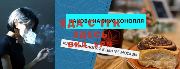 индика Абинск