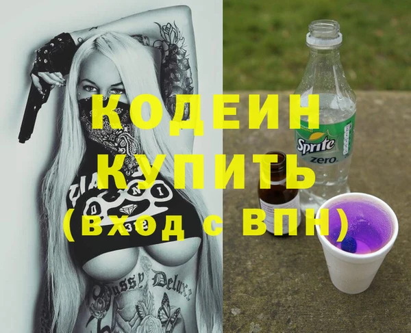 индика Абинск