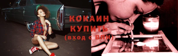 индика Абинск