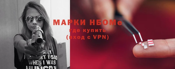 индика Абинск