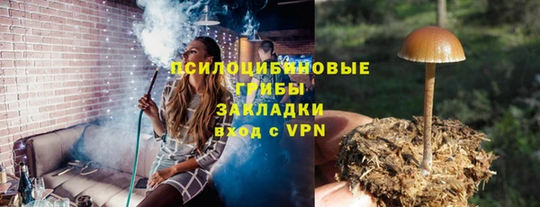 мескалин Алексин