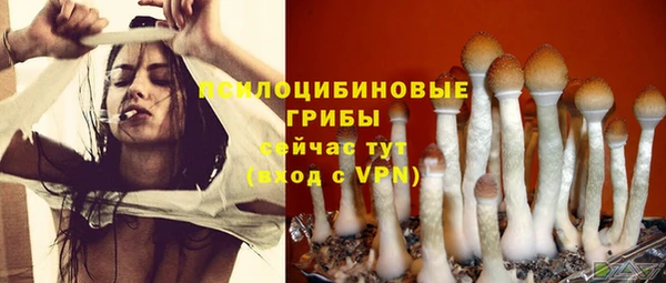 амф Заволжье
