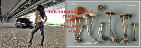 МДПВ Абдулино