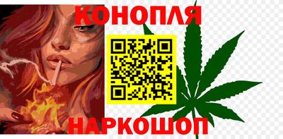 индика Шелехов