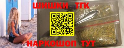 индика Шелехов