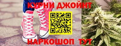 индика Шелехов