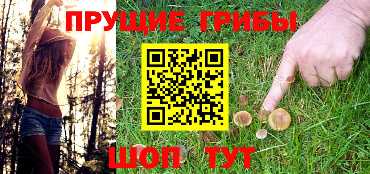 Псилоцибиновые грибы прущие грибы Тында