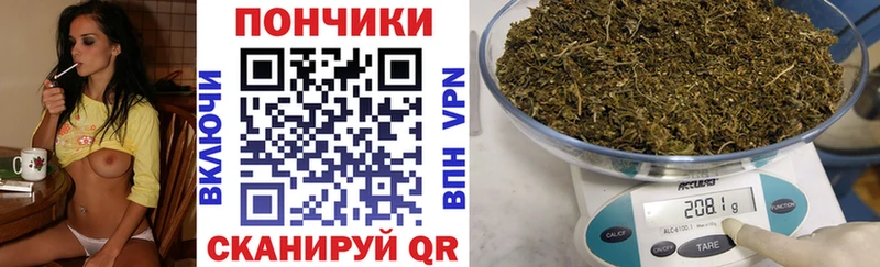 мориарти официальный сайт  Тында  Шишки марихуана ГИДРОПОН 